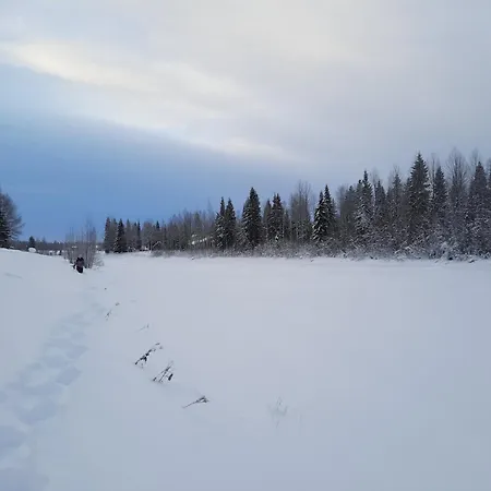 Jokiranta In Lapland Villa