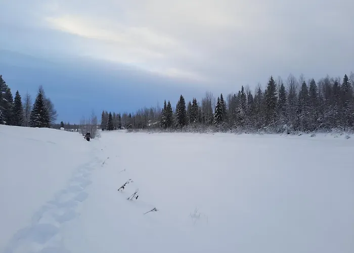 Jokiranta In Lapland Villa