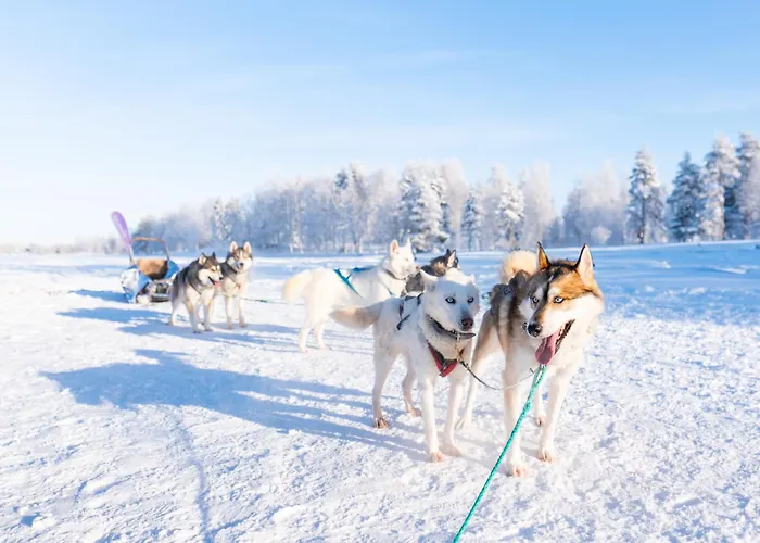 Villa Jokiranta In Lapland Ranua