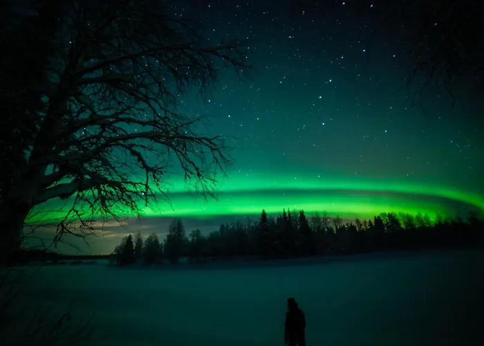 Jokiranta In Lapland * Ranua