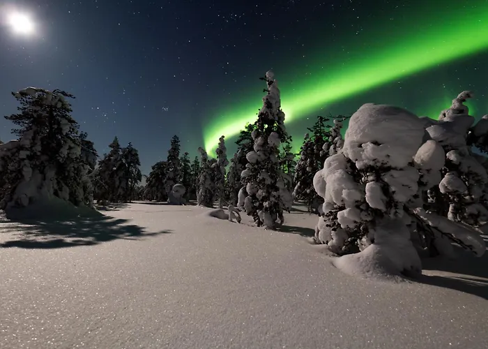 Jokiranta In Lapland Ranua