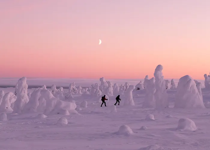 Villa Jokiranta In Lapland