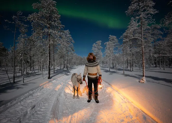 Jokiranta In Lapland * Ranua